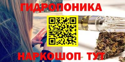 индика Абинск
